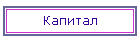 Капитал